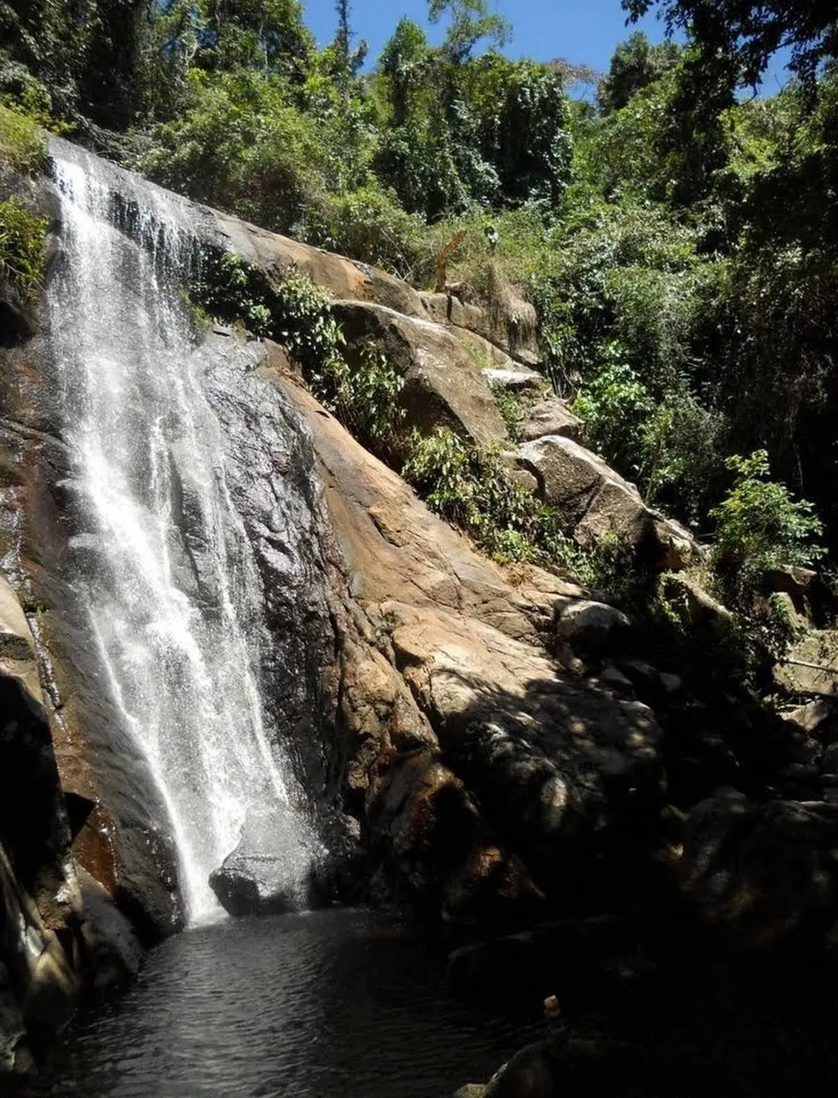 Wandeling door Atlantisch regenwoud naar waterval